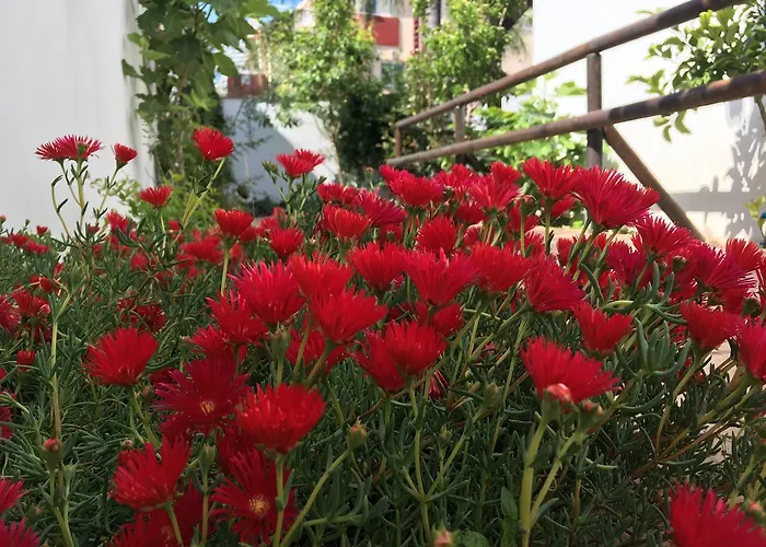 Pixel Maison d'hôtes