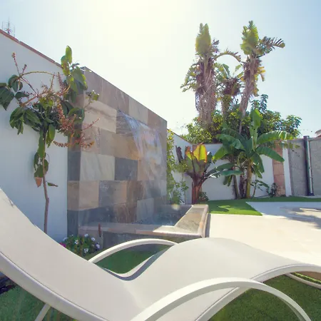 Pixel 3* 托雷莫利诺斯