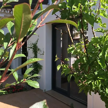 בית הארחה Pixel טורמולינוס